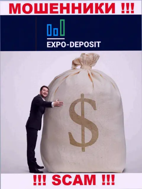 Невозможно получить депозиты с конторы Экспо-Депо Ком, в связи с чем ни рубля дополнительно отправлять не надо