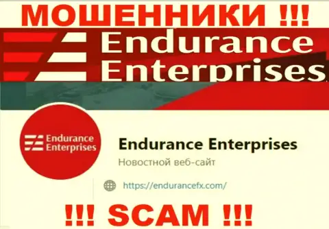 Установить контакт с internet-махинаторами из организации EnduranceFX Вы сможете, если напишите письмо на их адрес электронного ящика