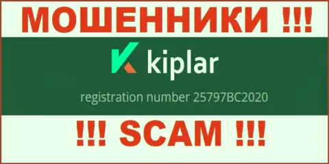 Регистрационный номер организации Kiplar, в которую кровно нажитые рекомендуем не вкладывать: 25797BC2020