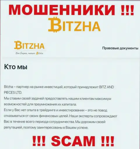 Bitzha 24 - это коварные мошенники, тип деятельности которых - Инвестиции