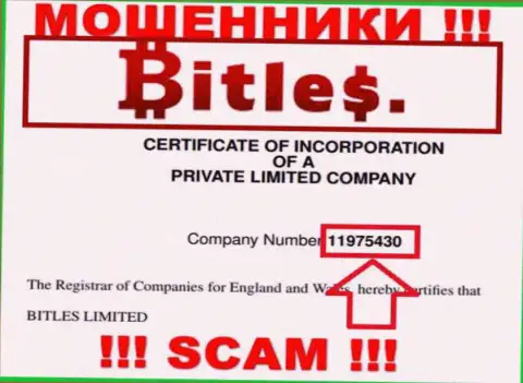 Номер регистрации интернет мошенников Битлес, с которыми не советуем иметь дело - 11975430