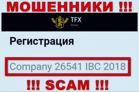 Номер регистрации, который принадлежит мошеннической компании ТФХ Групп: 26541 IBC 2018