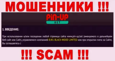 Юр. лицо компании ПинАп Бет - B.W.I. BLACK-WOOD LIMITED, информация позаимствована с сайта