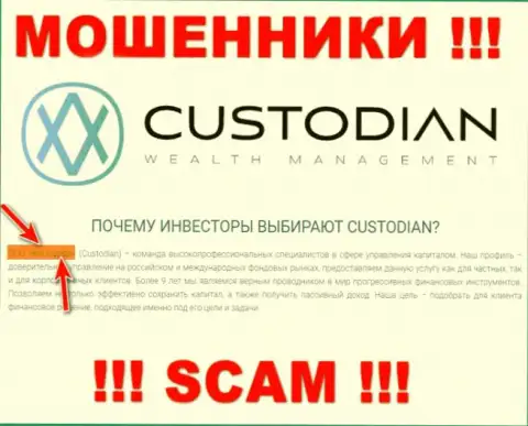 Юридическим лицом, управляющим internet кидалами Кастодиан Ру, является ООО Кастодиан