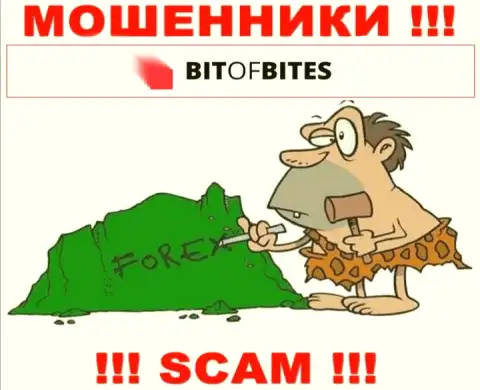 FOREX - это сфера деятельности мошенников БитОфБитес Ком