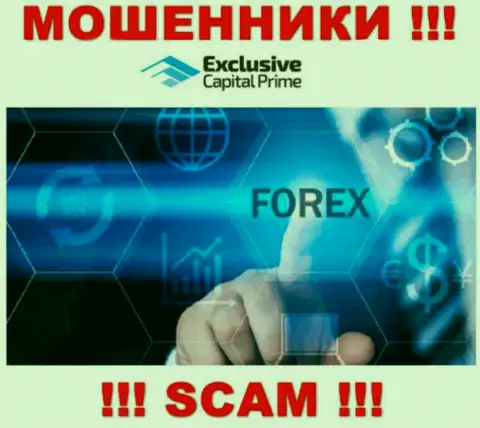 Forex - это направление деятельности противоправно действующей конторы Exclusive Capital