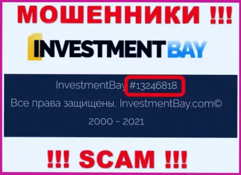 Номер регистрации, под которым зарегистрирована контора Investment Bay: 13246818