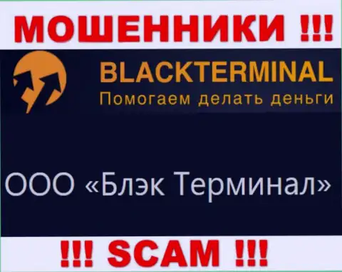 На официальном web-сервисе BlackTerminal сообщается, что юридическое лицо конторы - ООО Блэк Терминал
