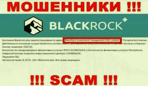 Владельцами Блэк Рок Плюс является организация - BlackRock Investment Management (UK) Ltd