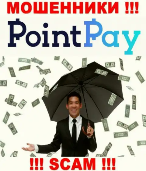 Не попадите в капкан интернет мошенников Point Pay, депозиты не выведете