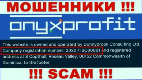 Регистрационный номер, который присвоен компании Onyx Profit - 2020 / IBC00061