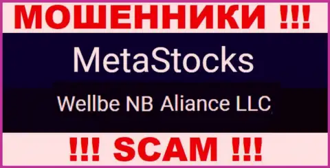 Юридическое лицо интернет мошенников MetaStocks - это Веллбе НБ Альянс ЛЛК