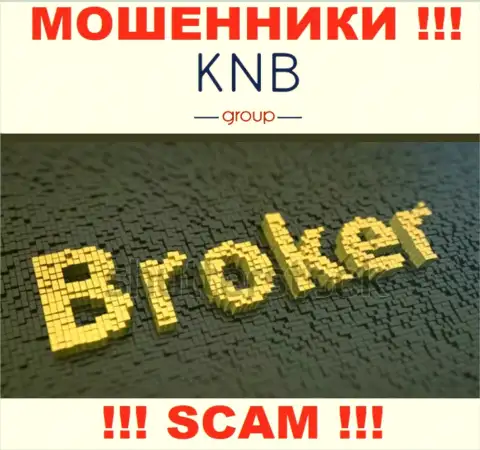 Направление деятельности противозаконно действующей организации KNB-Group Net - это Broker