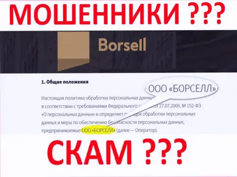 Borsell LLC - компания, которая управляет internet-мошенниками Borsell Ru