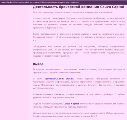 Дилинговый центр Cauvo Capital представлен в обзорной статье на веб-портале нсллаб ру