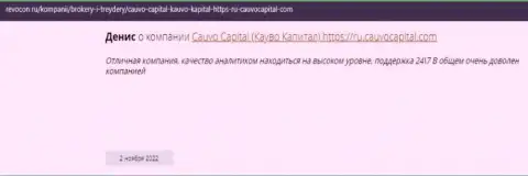 Компания CauvoCapital представлена в честном отзыве на интернет-сервисе Ревокон Ру