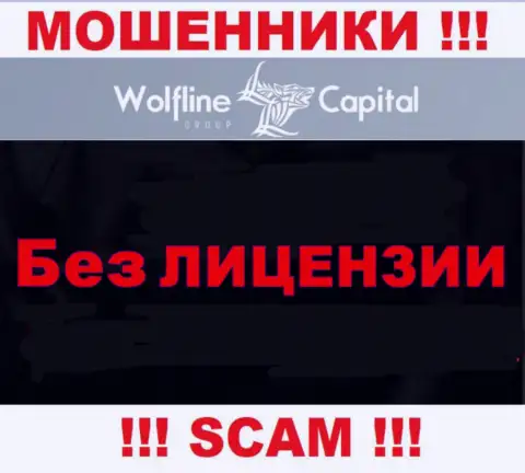 Невозможно найти сведения о лицензии internet мошенников Wolfline Capital - ее просто-напросто не существует !