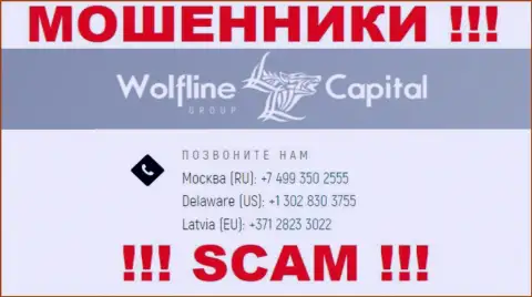 Будьте очень осторожны, когда звонят с незнакомых телефонных номеров, это могут быть internet махинаторы Wolfline Capital