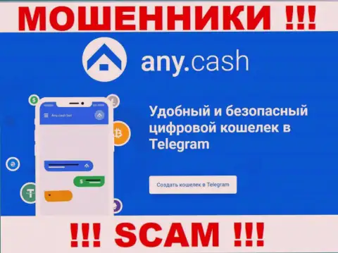 АниКэш - это мошенники, их работа - Виртуальный кошелек, направлена на отжатие вложенных денег наивных клиентов